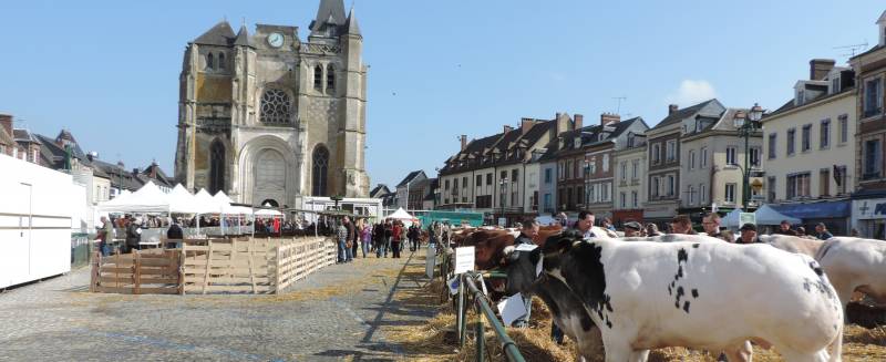 Exposition d'occasions récentes - Comice Agricole de Le Neubourg - 1er week-end d'avril